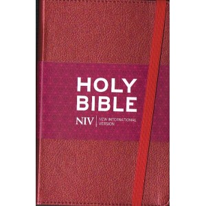 NIV Holy Bible : Shimmering Ruby